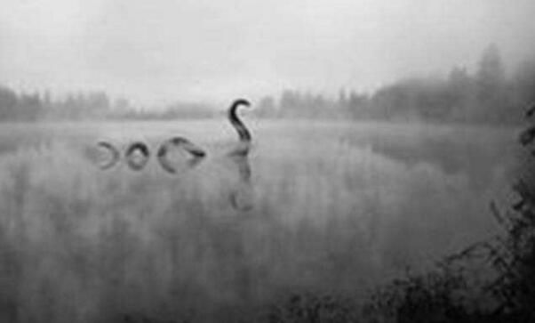 ȫ��ʮ��ˮ��֮�� ����˹��ˮ��30���Ƶ������