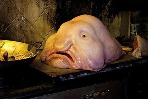 ˮ����ʲô��˼ ������ˮ���������˵�ͼƬ