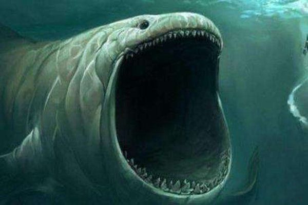 ����һ�����ŷ�ǱˮԱ ����һ����ѹǿ�ж�