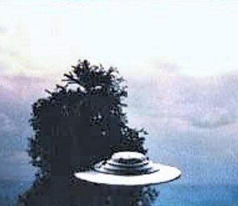 1994����ݿ��йֳ��¼������� ��ʲô������ôǿ��