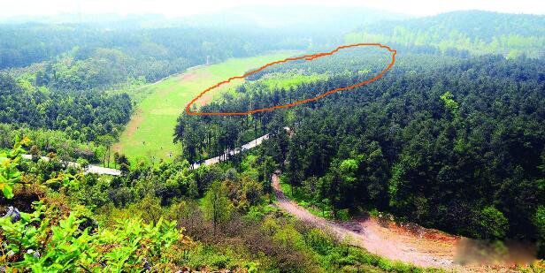 1994����ݿ��йֳ��¼������� ��ʲô������ôǿ��