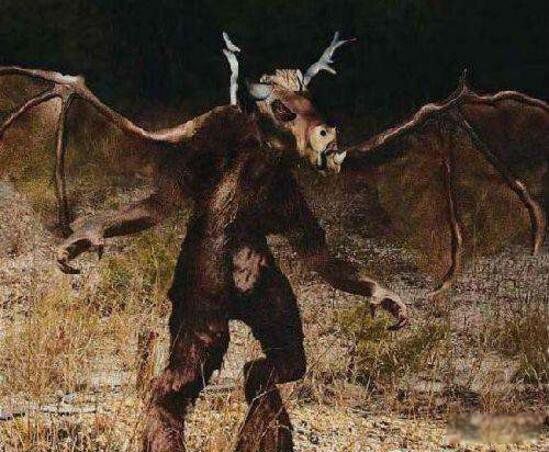 ������ħ��Ĵ����� ������ħ����Ŀ���¼��̵�