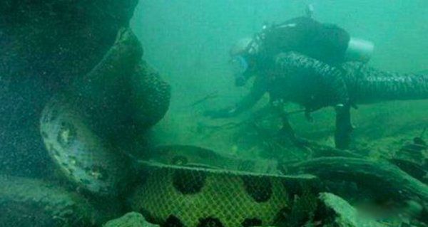 ����һ�����ŷ�ǱˮԱ ����һ����ѹǿ�ж��