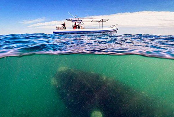 ����һ�����ŷ�ǱˮԱ ����һ����ѹǿ�ж��