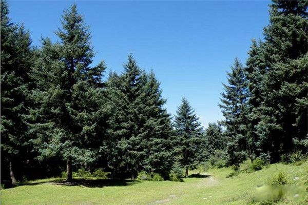 ����ά����ɼ������ ����ά����ɼ�ܳ����