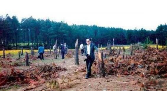 1994����ݿ��йֳ��¼������� ��ʲô������ôǿ��