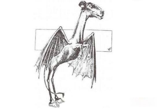 ������ħ��Ĵ����� ������ħ����Ŀ���¼��̵�