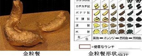 �ձ�ʺ����ʲô���� ��Ҫ��Ϊ3�������Ǽ�