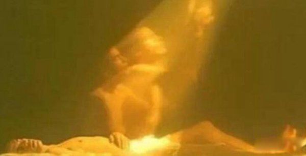 Ͷ̥ת������ʵ���� Ͷ̥ת������ʵ��¼��ҪҪ����ʲô�ط�