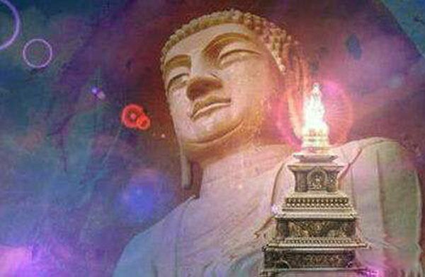 Ͷ̥ת������ʵ���� Ͷ̥ת������ʵ��¼��ҪҪ����ʲô�ط�