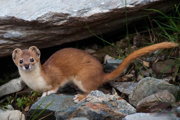 ������ʲô ����Ϊ��������������ϰ������