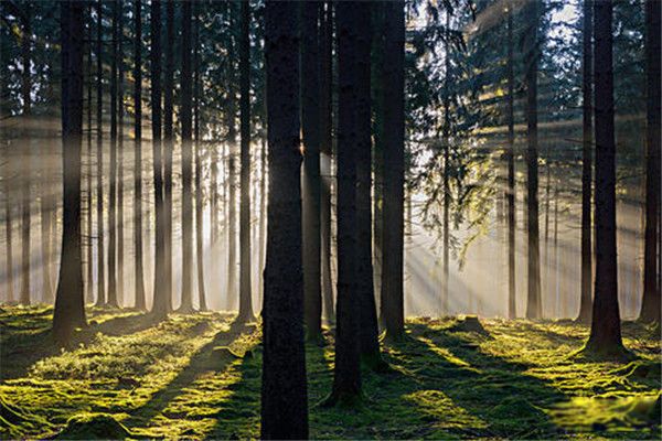 ����ά����ɼ������ ����ά����ɼ�ܳ����