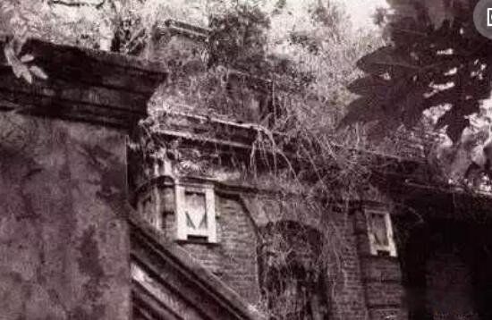 �ּ�լ37����ʵ�¼� 37�������¼�֮���¼�����