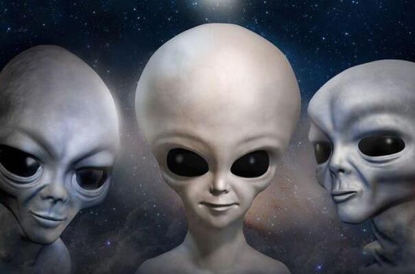 ʮ���������Щ ��������������ʮ�����������ʲô