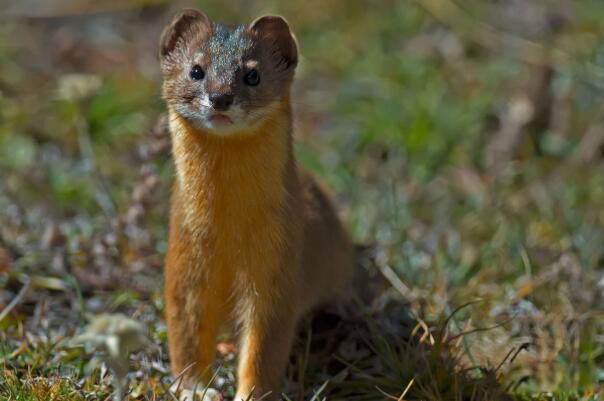 ������ʲô ����Ϊ��������������ϰ������