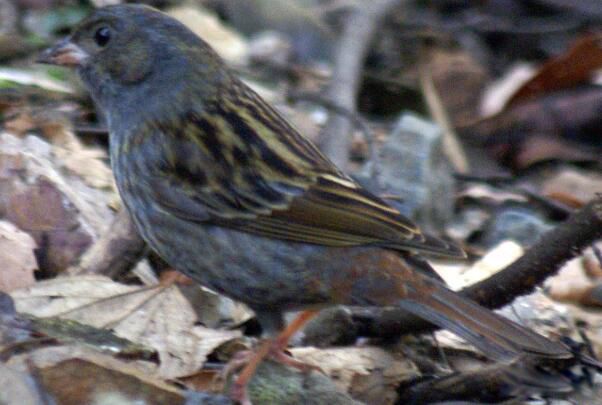 ���c��ʲô�� û�����ַֻ���һ��С������