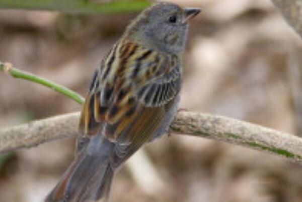 ���c��ʲô�� û�����ַֻ���һ��С������