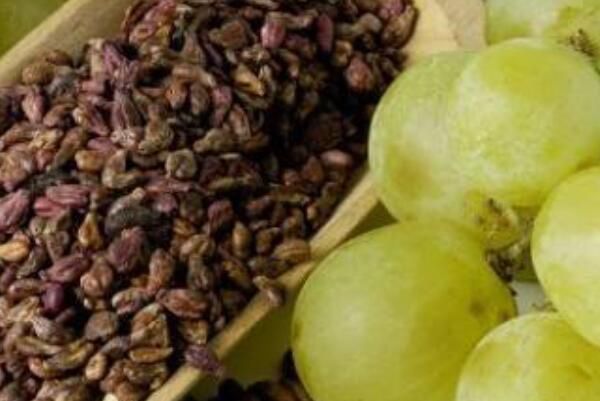 葡萄籽油的功效与作用 葡萄籽油可以炒菜吗