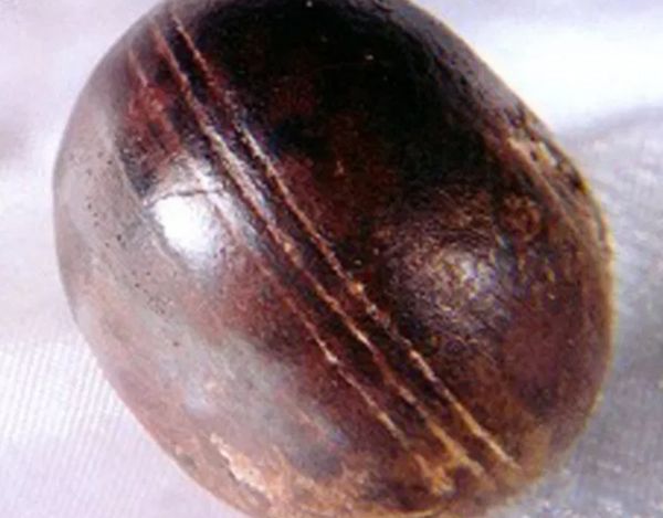 ʮ��δ��֮�յ����������¼� ����ѷ��֮����UFO���µĺۼ�