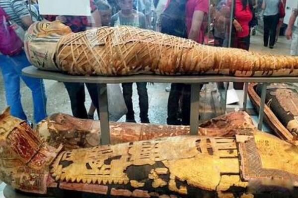 ����������ľ���������� ľ��������������?���ĳ��Ĺ���