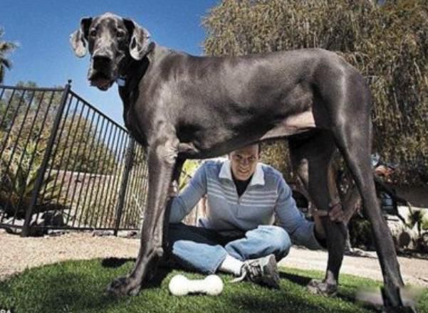 ������ߵĹ��ж�� �����������ߵĹ������ε�ͼƬ