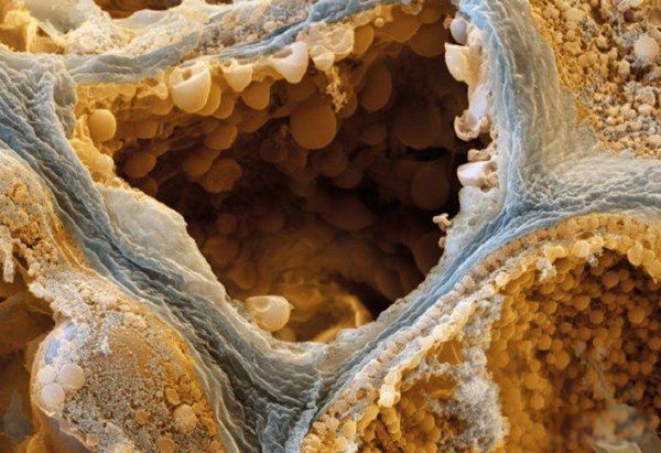 ʲô��������������� �������ļ�������ǰʮ