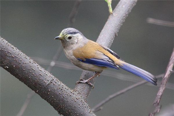 ʮ����������ʲô��˼ ����ʮ��������������