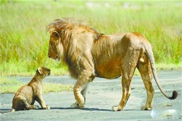 ʮ����������ʲô��˼ ����ʮ��������������