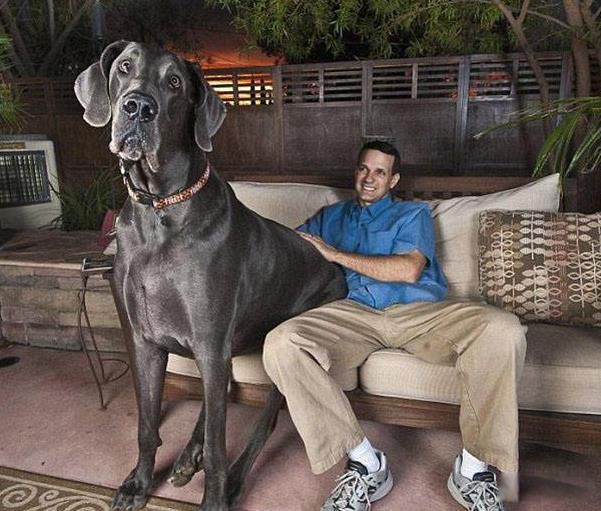 ������ߵĹ��ж�� �����������ߵĹ������ε�ͼƬ