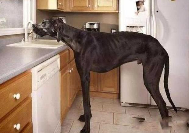 ������ߵĹ��ж�� �����������ߵĹ������ε�ͼƬ