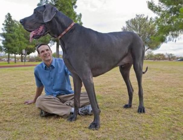 ������ߵĹ��ж�� �����������ߵĹ������ε�ͼƬ