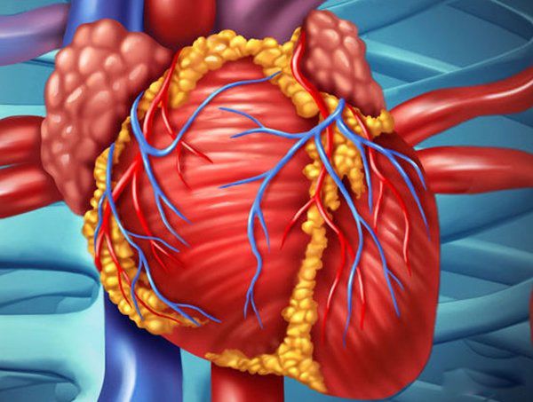 ʲô��������������� �������ļ�������ǰʮ