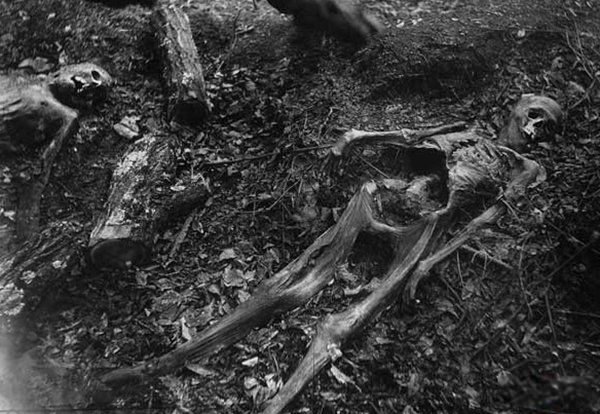 ʲô��������������� �������ļ�������ǰʮ