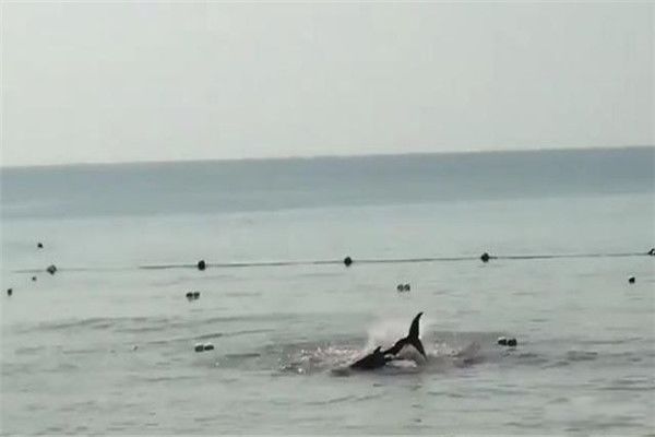 ����������˲Ҿ��¼� ��������������¼�����