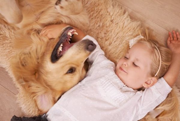 ʲô���Ҹ��� �����е��Ҹ�������������