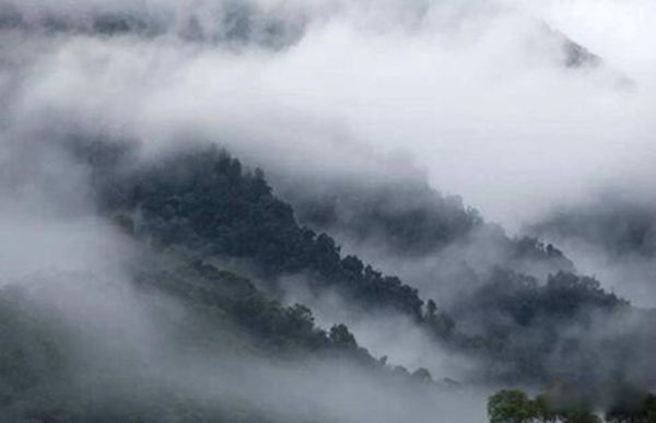 ����������ʲô���� ����֮��Ĺ�ͬ��������