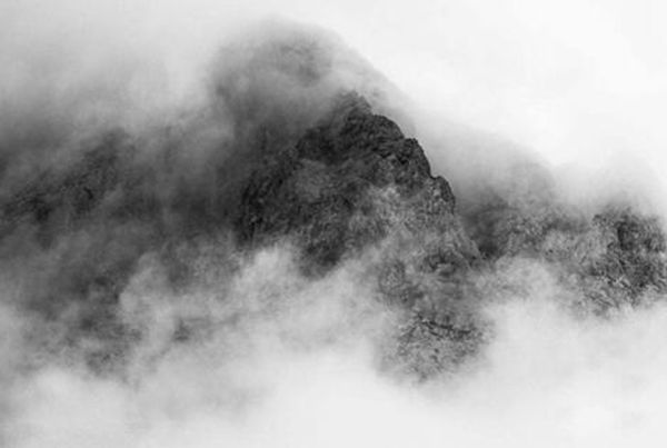 ����������ʲô���� ����֮��Ĺ�ͬ��������