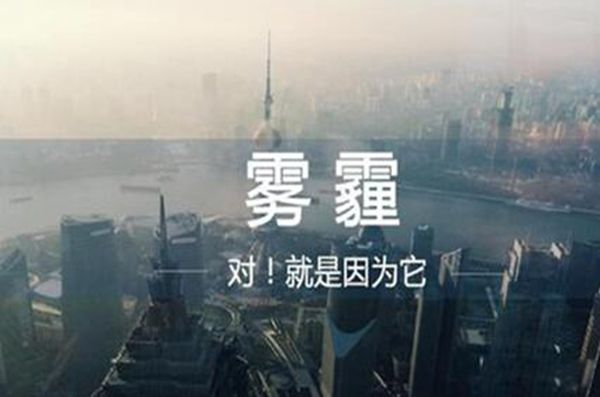 ����������ʲô���� ����֮��Ĺ�ͬ��������