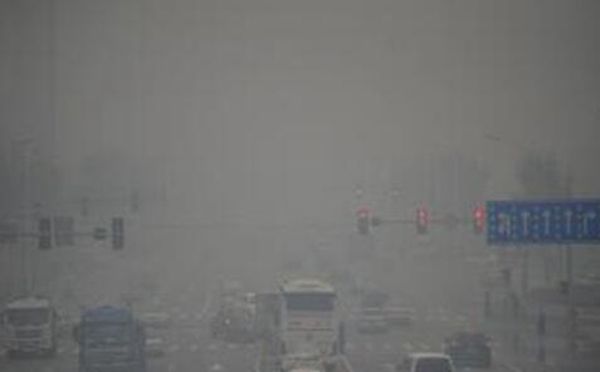 ����������ʲô���� ����֮��Ĺ�ͬ��������