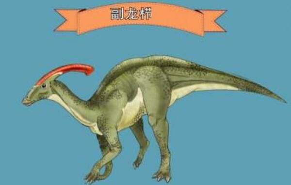 ���������ص�򵥽��� ��ʲôʳ����ʳ�⻹��ʳ��