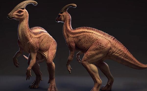 ���������ص�򵥽��� ��ʲôʳ����ʳ�⻹��ʳ��