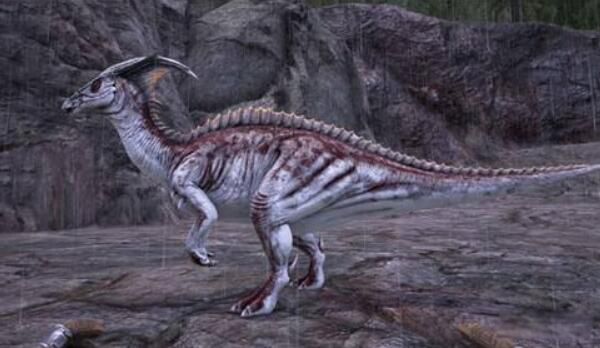 ���������ص�򵥽��� ��ʲôʳ����ʳ�⻹��ʳ��