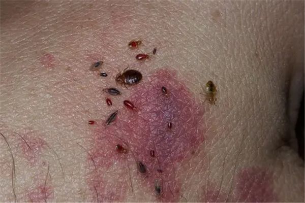 �����������ʲô ������������а�ǰʮ��