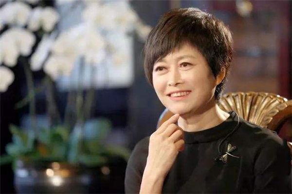 中央电视台著名主持人排行榜 董卿被称之为中国十大名嘴之一