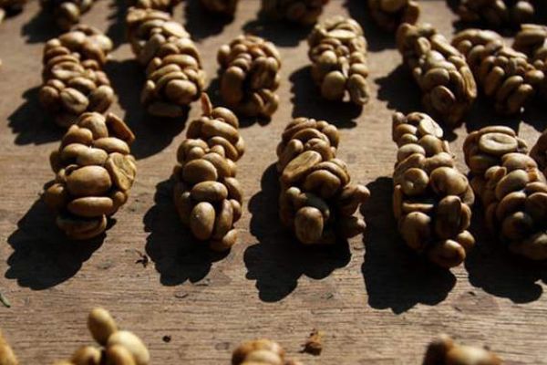 ����ʮ���ݳ�Ʒ�ƿ��� ��󿧷�Ʒ�����а�ǰʮ��