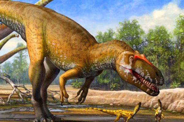 ���ѼͿ�����������Щ ���ѼͿ���ʵ������ǰʮ��