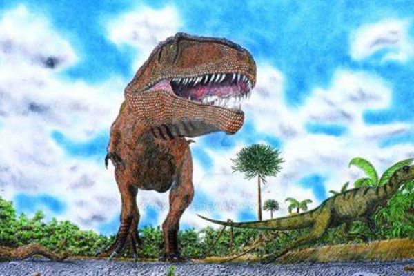 ���ѼͿ�����������Щ ���ѼͿ���ʵ������ǰʮ��