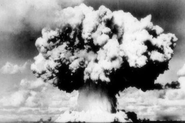 ��������ֲ���������ͼƬ �����˵Ĺ�������ʲô��