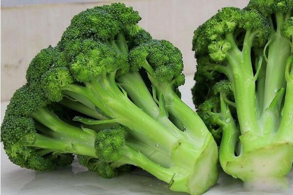 ֬�������³�ʲôʳ�� ֬������������ʳ��ҽ��������