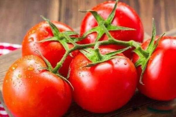 ֬�������³�ʲôʳ�� ֬������������ʳ��ҽ��������